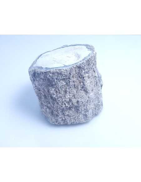 Bois fossile 350 g - Encens.fr | Minéraux