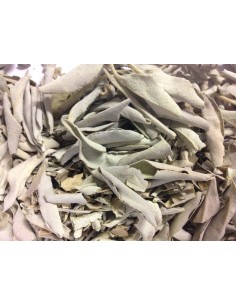 Sauge en Feuilles pour Fumigation – 50g, 100g, 250g