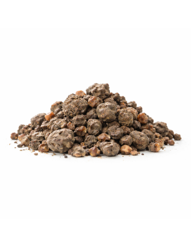 Myrrhe Noire d’Éthiopie – Encens en Grains 50g 500g 1kg