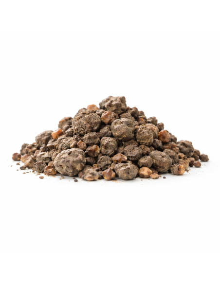 Myrrhe Noire d’Éthiopie – Encens en Grains 50g 500g 1kg