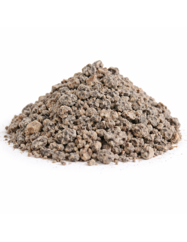 Encens en Grains Benjoin Gris Dragon Fly – Purification et Relaxation