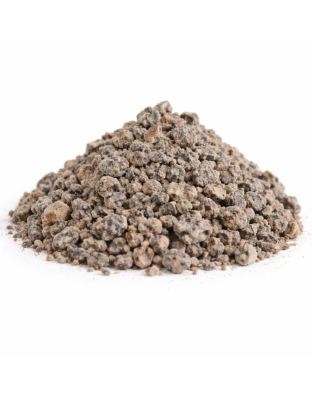 Encens en Grains Benjoin Gris Dragon Fly – Purification et Relaxation