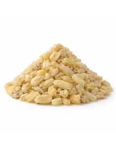 Encens en Grains Sandaraque –50, 500, ou 1kg Résine Naturelle Purifiante et Protectrice