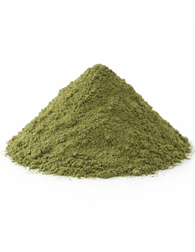 Encens Poudre Aloès du Cap – Encens Naturel Purifiant