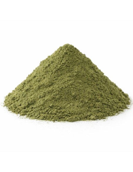 Encens Poudre Aloès du Cap – Encens Naturel Purifiant