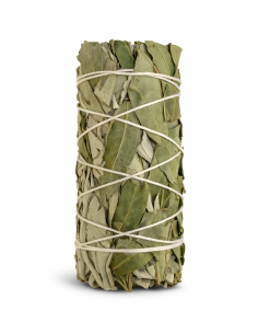 Fagot de sauge blanche et eucalyptus