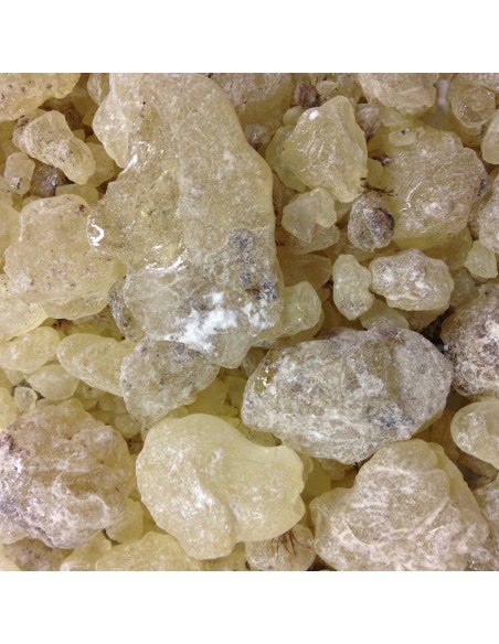 Photo de Encens gomme de  Dammar - Encens.fr - Boutique ésotérique en ligne - vente de Encens gomme de  Dammar