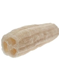 Photo de Eponge naturelle de mer - Encens.fr - Boutique ésotérique en ligne - vente de Eponge naturelle de mer