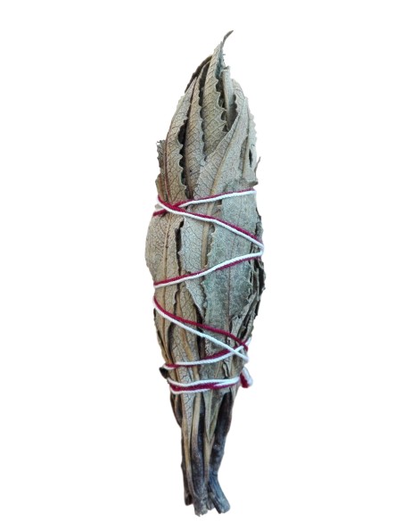 Photo de Fagot herbe sainte - Encens.fr - Boutique ésotérique en ligne - vente de Fagot herbe sainte