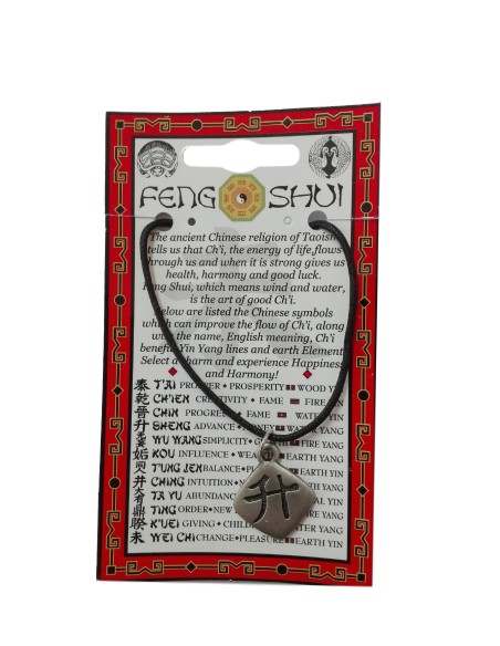 Photo de Pendentif feng shui avec symbole du SHENG - Encens.fr - Boutique ésotérique en ligne - vente de Pendentif feng shui ave