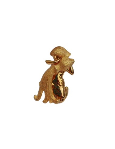 Photo de Broche du zodiac Verseau - Encens.fr - Boutique ésotérique en ligne - vente de Broche du zodiac Verseau