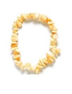 Bracelet chips 