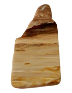Photo de Tranche de bois silicifié - Encens.fr - Boutique ésotérique en ligne - vente de Tranche de bois silicifié
