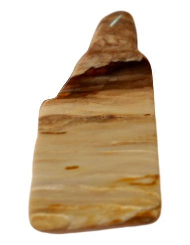 Photo de Tranche de bois silicifié - Encens.fr - Boutique ésotérique en ligne - vente de Tranche de bois silicifié