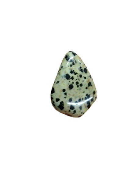 Photo de Jaspe dalmatien en Pierre roulée  5/6 cm - Encens.fr - Boutique ésotérique en ligne - vente de Jaspe dalmatien en Pierr