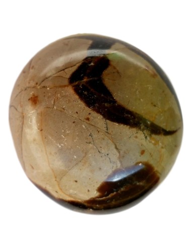 Septeria en Pierre roulée 3/4 cm