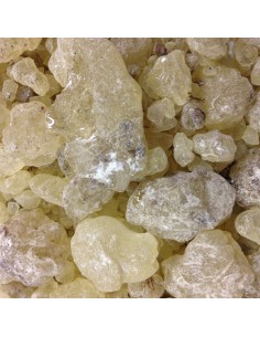 Photo de Encens gomme de  Dammar 500gr - Encens.fr - Boutique ésotérique en ligne - vente de Encens gomme de  Dammar 500gr