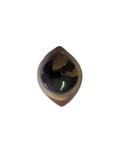 Oeil de Shiva 150 g