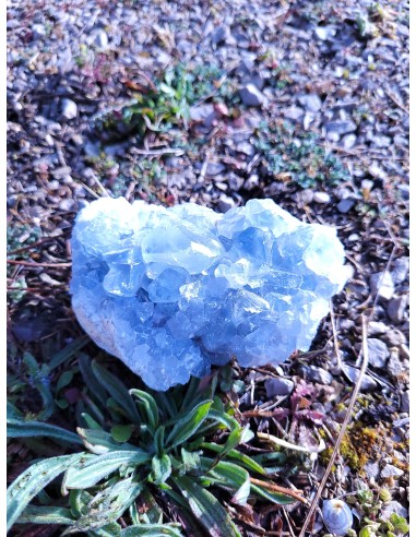 Druse en Célestite