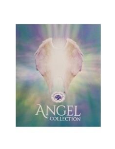 Coffret Angel Collection