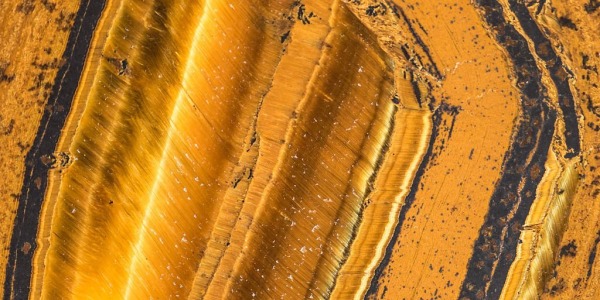 Plongez dans l'Oeil du tigre ! 