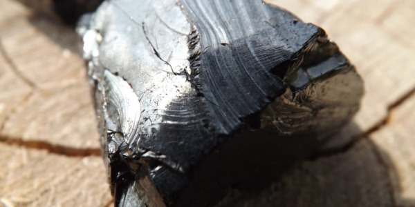 La shungite, une splendeur obscure