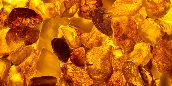 L'ambre : un joyau doré qui défie le temps